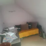 U Szostaka