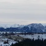 U Szostaka *