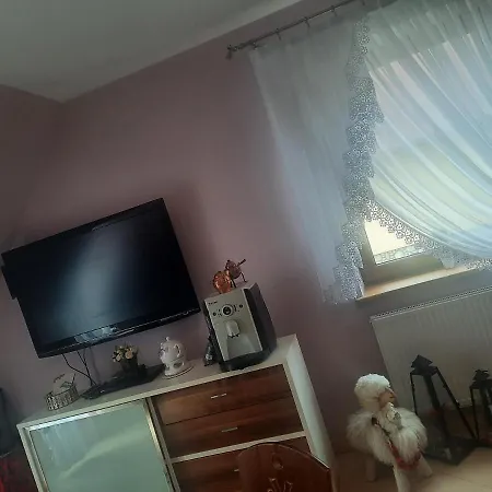 U Szostaka *