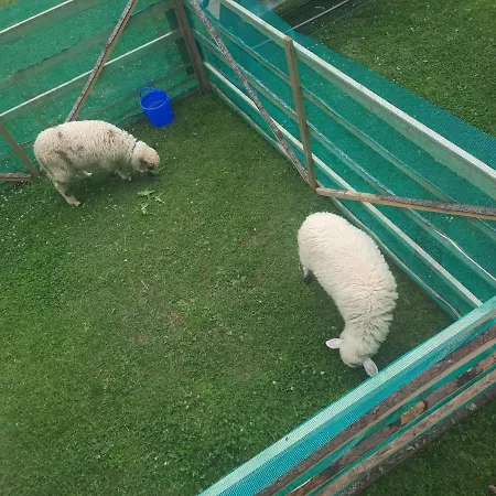 U Szostaka Lejlighed Bańska