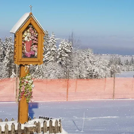 U Szostaka 公寓 Bańska