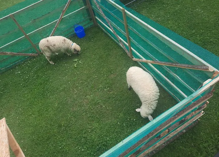 U Szostaka Apartman Bańska